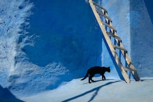 Si te vestís de amarillo o caminás debajo de la escalera, ¡cruzá los dedos!