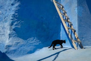 Si te vestís de amarillo o caminás debajo de la escalera, ¡cruzá los dedos!