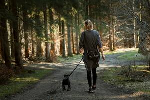 Caminar tiene múltiples beneficios para la salud (Foto ilustrativa: PIXABAY)