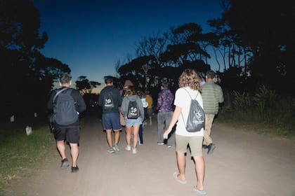 “Caminata & Acústico en el Bosque”, una experiencia nocturna que invitó a vivir Cariló desde otro lugar, en contacto directo con la naturaleza y lejos de las dinámicas habituales de la temporada alta.