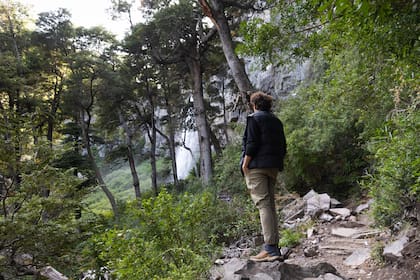 Caminata por el bosque patagónico.