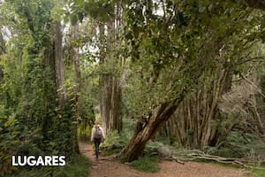Caminata por el precioso sendero Pitranto Grande.
