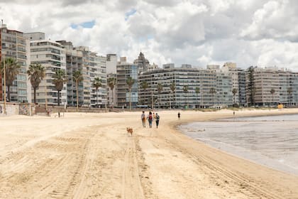 Caminata por la Rambla de Pocitos