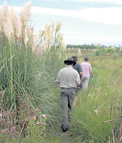 Caminatas por los senderos de la Reserva Otamendi