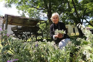 El restaurante de culto donde amasa una italiana de 88 años, en un paraje detenido en el tiempo