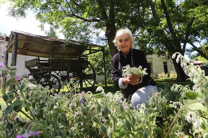 El restaurante de pastas donde cocina una italiana de 84 años que se volvió de culto