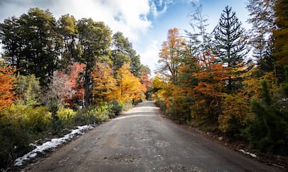 Camino al Lago Tromen en otoño