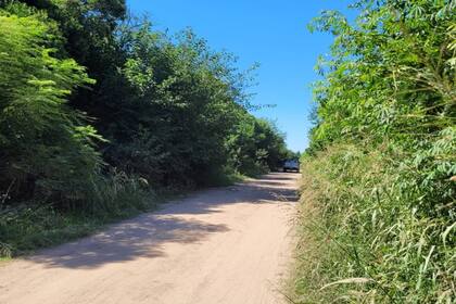 Camino rural en el partido de Leandro N Alem