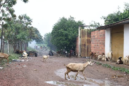 Caminos de ingreso a las trochas, senderos peatonales que se usan para contrabando controlado por el ELN.