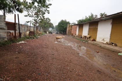 Caminos de ingreso a las trochas, senderos peatonales que se usan para contrabando controlado por el ELN.