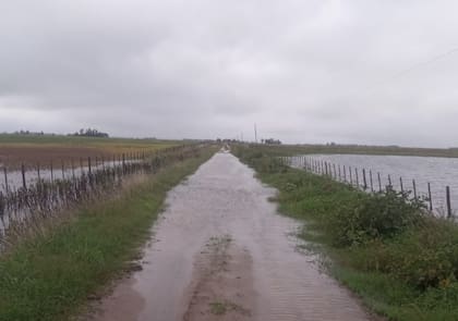 Caminos rurales anegados en 9 de Julio tras las últimas lluvias, que dejaron sectores intransitables y frenaron la salida de la producción
