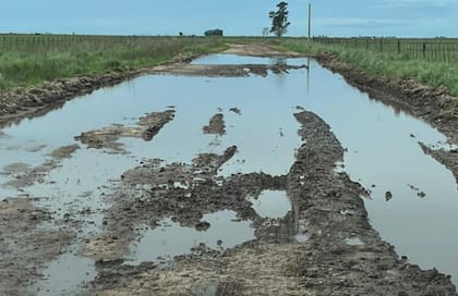 Caminos rurales en la localidad de Azul