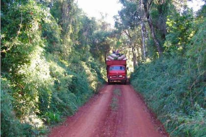 “El deterioro del poder de compra de la yerba mate se explica en gran medida por la crisis que atraviesa el sector en los últimos dos años. En 2024, una cosecha récord cercana al millón de toneladas de hoja verde derivó en una situación de sobrestock en los secaderos, agravada por la desregulación del esquema de fijación de precios", señalaron