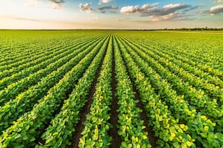Un pacto que le podría sacar "canas verdes" al campo argentino