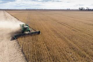 Agroindustria: regulaciones que afectan la eficiencia de la cadena