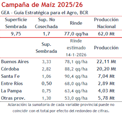 Campaña de maíz 2025/2026