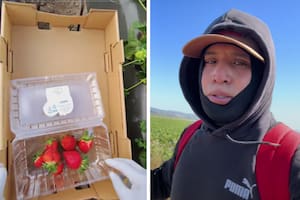 @campes1no vía TikTok