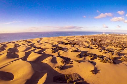 Campo de dunas en Maspalomas, Gran Canaria.