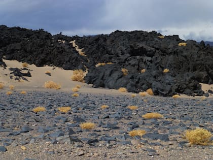 Campo de lava en las afueras de Antofagasta de la Sierra, Catamarca