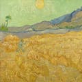 Van Gogh, el optimista menos pensado