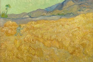Van Gogh, el optimista menos pensado