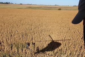 Un vendedor de criptomonedas cordobés y un vecino de un country de Pilar, a juicio como líderes de una banda