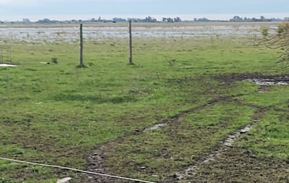 Campo inundado en Chivilvoy