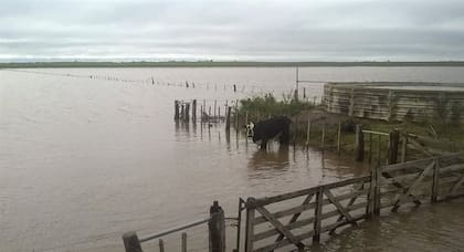 En La Pampa hubo lugares donde se acumularon 600 mm en seis días