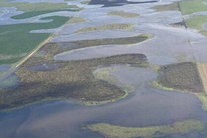 Campos bajo el agua en Coronel Suárez - General La Madrid