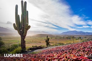El fenómeno que convoca en pleno otoño a recorrer pueblitos con encanto