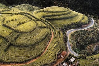 La apuesta radical por la agricultura orgánica que dejó a un país entero al borde de la hambruna
