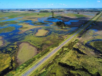 Campos inundados en la zona de 9 de Julio en donde llego a haber más de 130.000 hectáreas afectadas