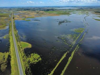 Campos inundados en la zona de 9 de Julio, en la provincia de Buenos Aires