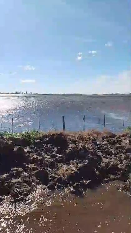 Campos y caminos anegados en 9 de Julio