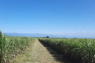 Exportaciones: más allá de las commodities, los productos regionales también llegan al mundo