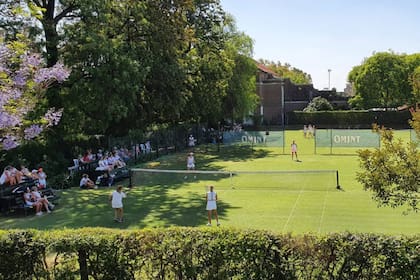 Canchas de tenis de césped