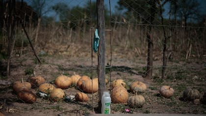 Con el agua hay posibilidad de tener peque?as huertas