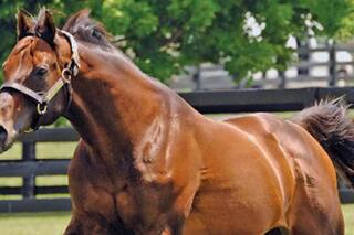 A Candy Ride lo rechazaron varias veces, fue crack y sus hijos mueven millones