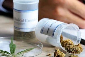 Capacitan a profesionales de la salud en el uso medicinal del cannabis