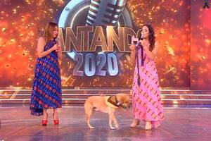 Cantando 2020: Ruso, el perro de Claribel Medina, se adueñó del escenario