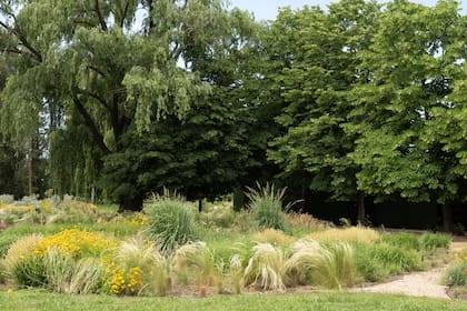 Cantero con plantación bien suelta.