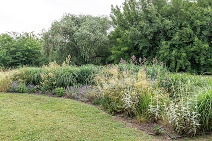 Cantero de gramíneas y herbáceas separan el ingreso en la casa del resto del jardín. Se logró dar privacidad con especies de bajo mantenimiento e interés estacional
