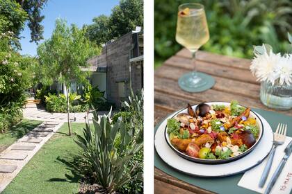 Cantero de Strelitzia reginae en el ingreso, y ensalada de estación de la carta, que se renueva con el correr de las estaciones.
