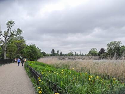 Cantero que en primavera se cubre con las flores de alelíes, lirios y digitalis.