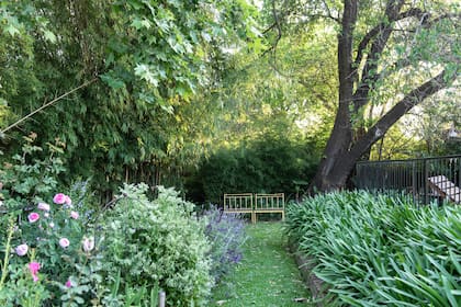 Canteros donde los agapantos conviven con salvias, rosas, asclepias, iochromas y cítricos.