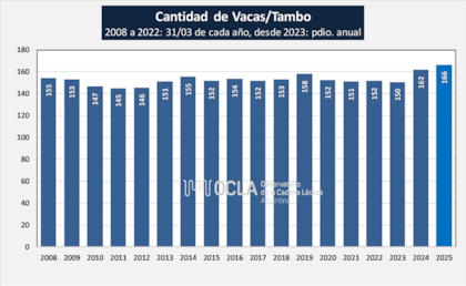 Cantidad de Vacas/Tambo