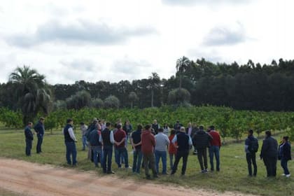 Ser y parecer líderes ayuda a transmitir confianza, integridad y pasión