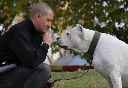 Capra: “El animal entrenado para atacar puede malinterpretar acciones de personas, aunque sea de la familia”