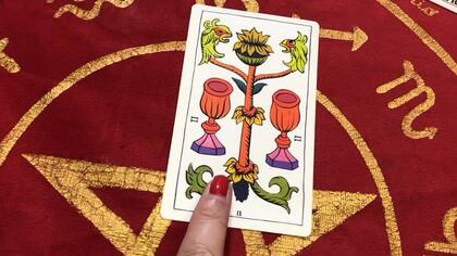 Capricornio podría enamorarse esta semana.