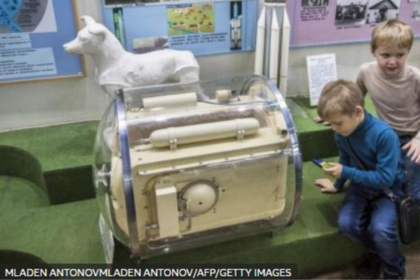 Cápsula de un tamaño similar a la que fue usada antes del lanzamiento, para que Laika se acostumbrase a estar casi inmovilizada en un ambiente pequeño